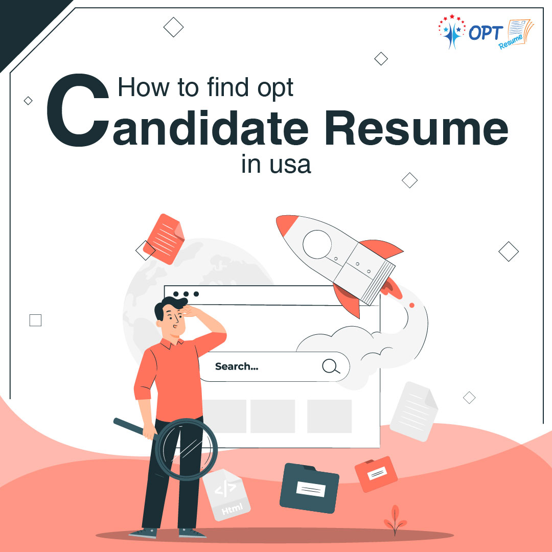 How to find opt candidate resume in usa