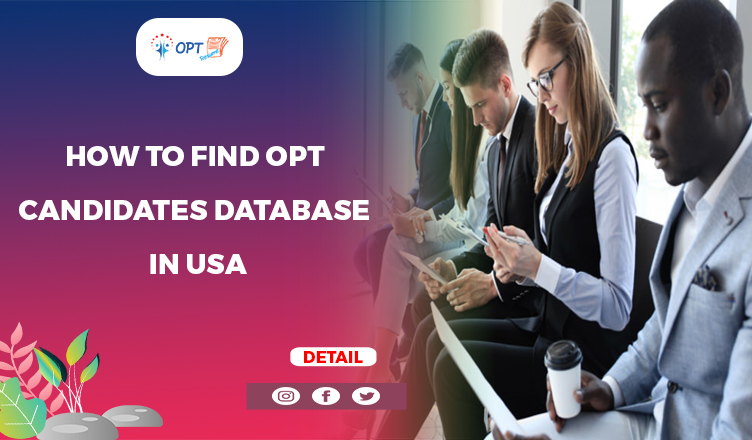 OPT Candidates database in USA